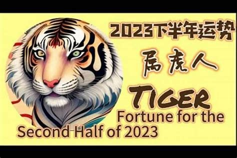 2023属虎|属虎的人2023年全年运程运势